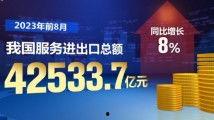 国产观看在线,在线观看的精彩之旅